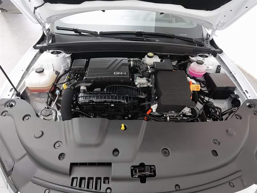 BYD Qin Plus 2024 car image #7