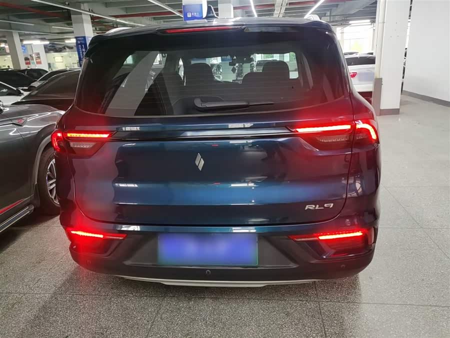 睿蓝汽车 睿蓝9 2023 汽车图片 #7