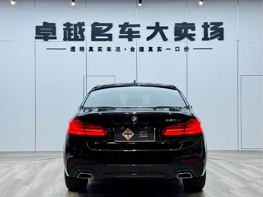 BMW 5 Series 2019 image de voiture #7