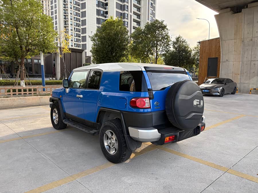 Toyota FJ Cruiser 2008 immagine di auto #7