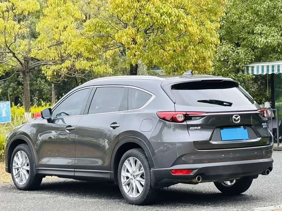 Mazda CX-8 2019 immagine di auto #7