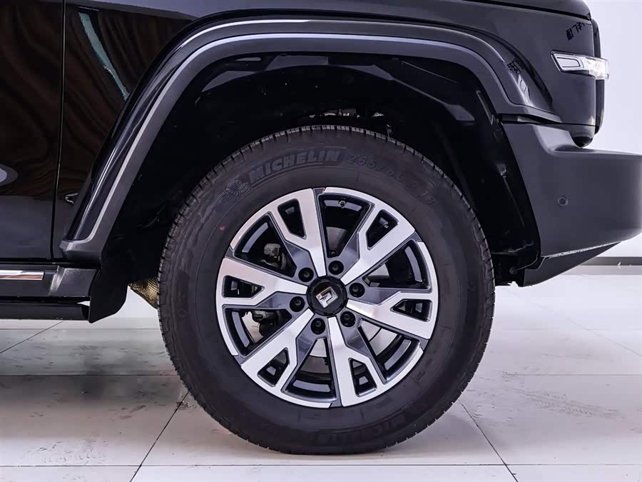 Tank 300 2024 car image #7