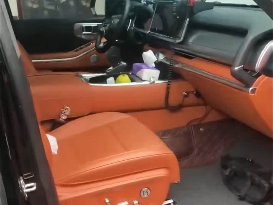 Tank 700 New Energy 2024 #7 Tank 700 New Energy 2024 immagine di auto #7