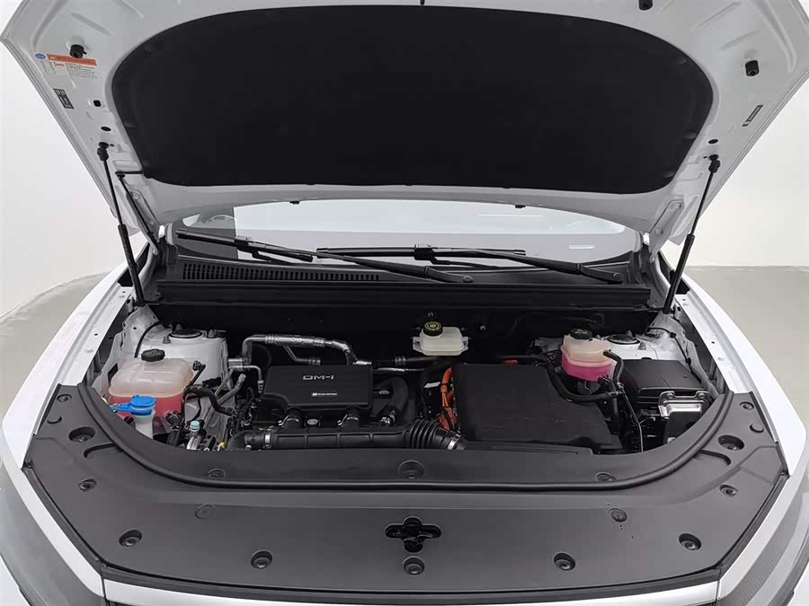 BYD Sea Lion 05 DM-i 2025 car image #7