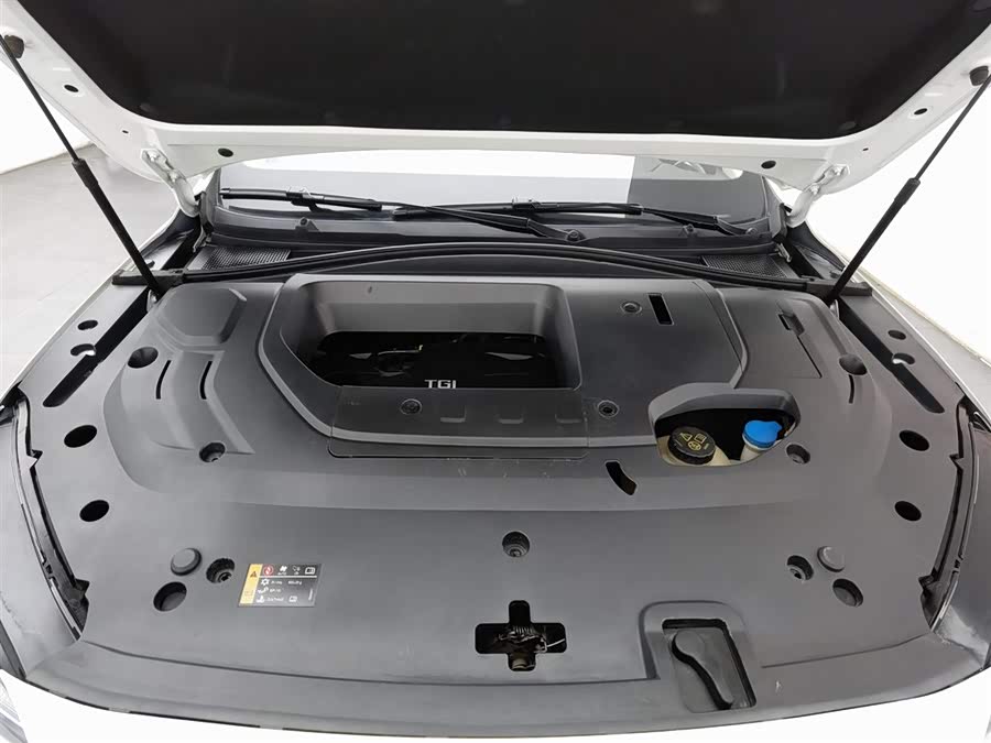 MG Pilot 2021 car image #7