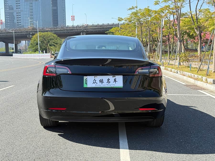 Tesla Model 3 2021 image de voiture #7