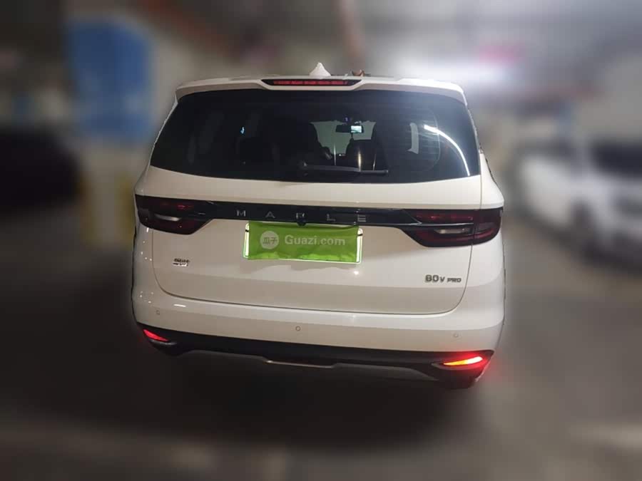 睿蓝汽车 枫叶80v PRO 2023 汽车图片 #7