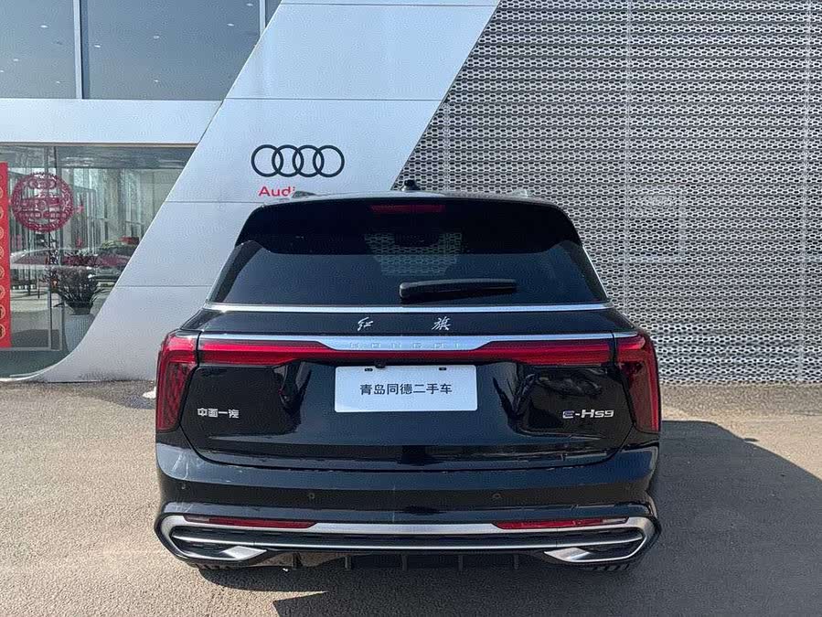 HongQi E-HS9 2023 изображение автомобиля #7