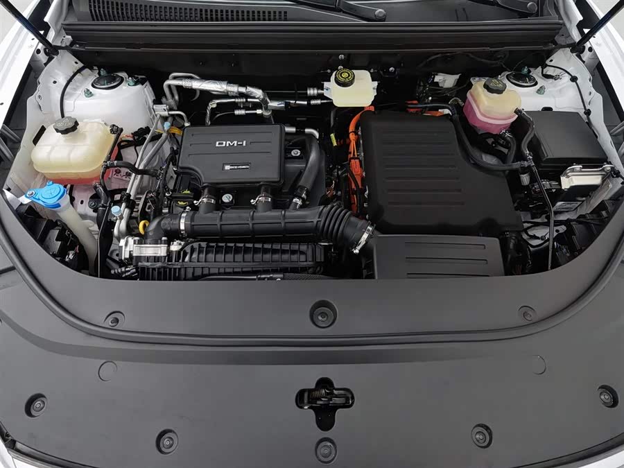 BYD Sea Lion 05 DM-i 2025 car image #7