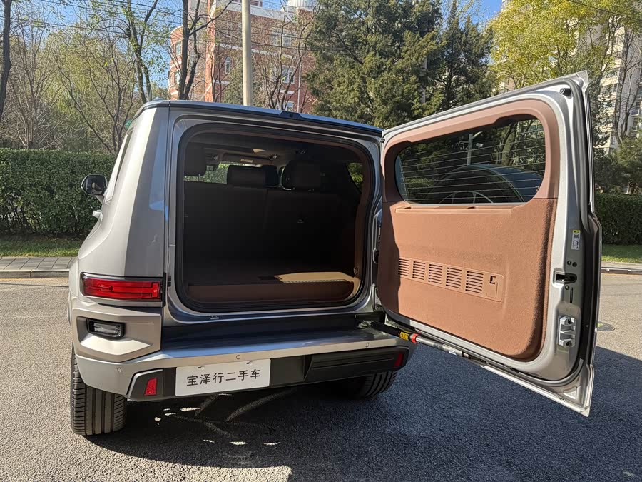 Tank 700 New Energy 2025 #7 Tank 700 New Energy 2025 immagine di auto #7