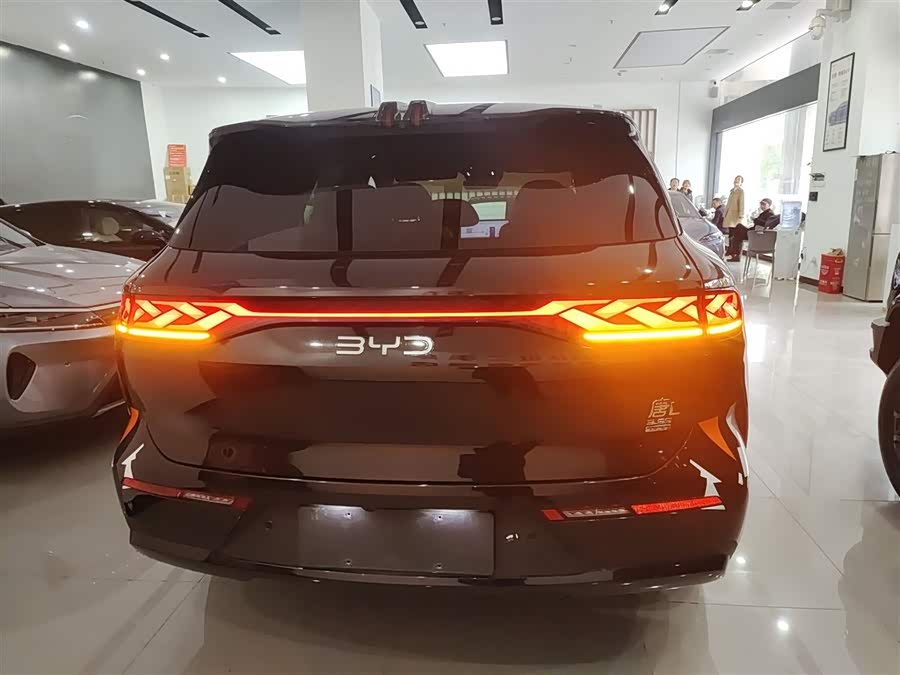 BYD Tang L 2025 car image #7