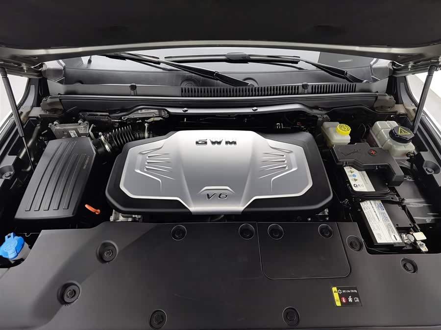 Great Wall Poer 2021 car image #7