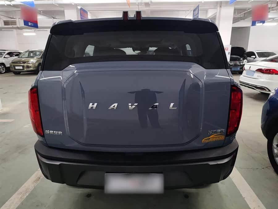 Haval Dargo 2022 car image #7