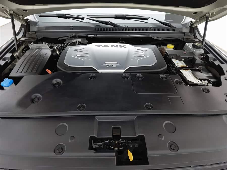 Tank 500 2022 car image #7