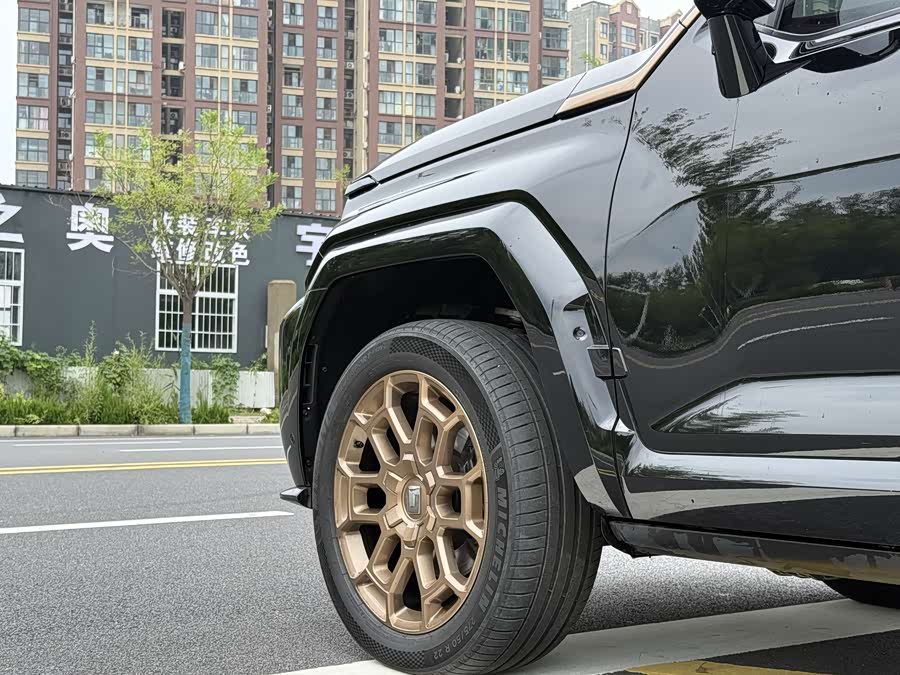 Tank 700 New Energy 2024 car image #7