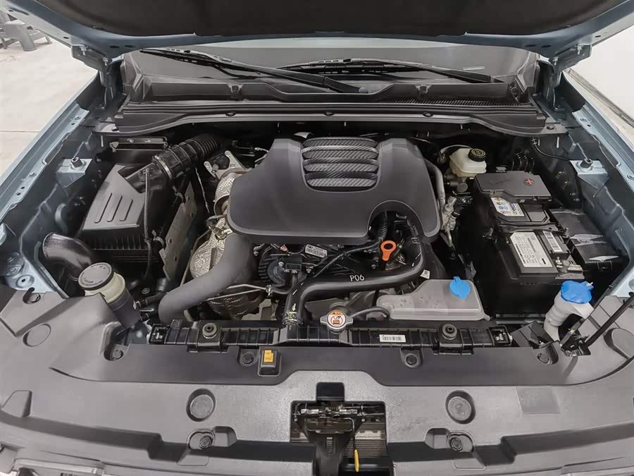 Haval Jingang Pao 2023 car image #7