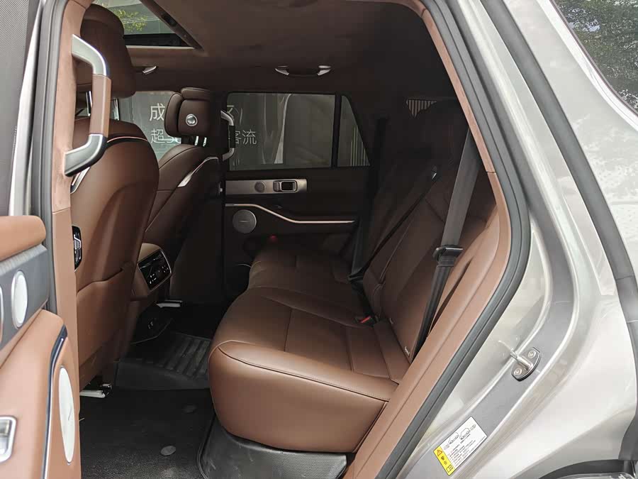 Tank 700 New Energy 2025 #7 Tank 700 New Energy 2025 immagine di auto #7