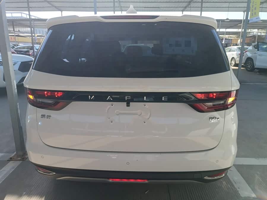 睿蓝汽车 枫叶80v 2021 汽车图片 #7