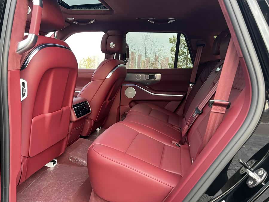 Tank 700 New Energy 2025 immagine di auto #7