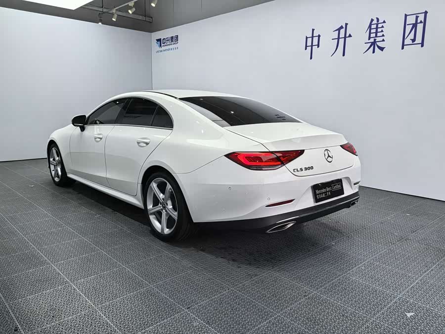 Mercedes-Benz CLS Class 2019 car image #7