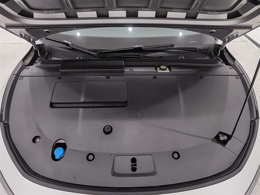 Xpeng P7+ 2024 car image #7