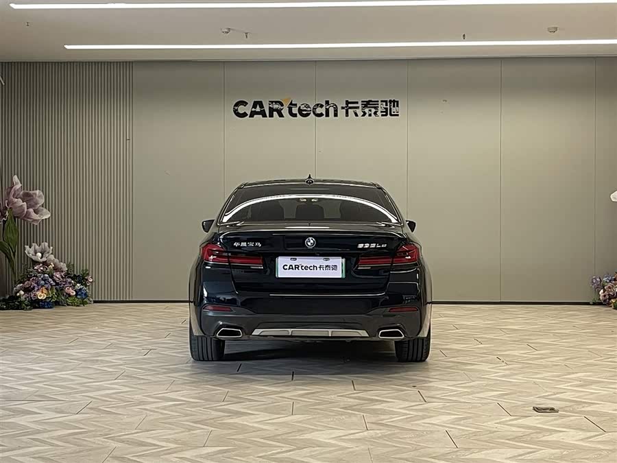 BMW 5 Series New Energy 2021 car image #7