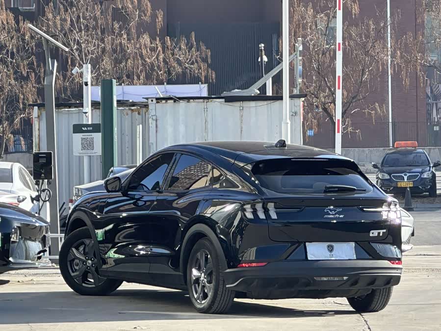 Ford Mustang Mach-E 2022 car image #7