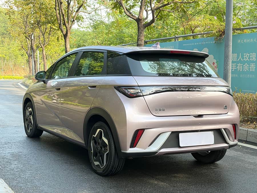 比亚迪 海豚 2022 汽车图片 #7