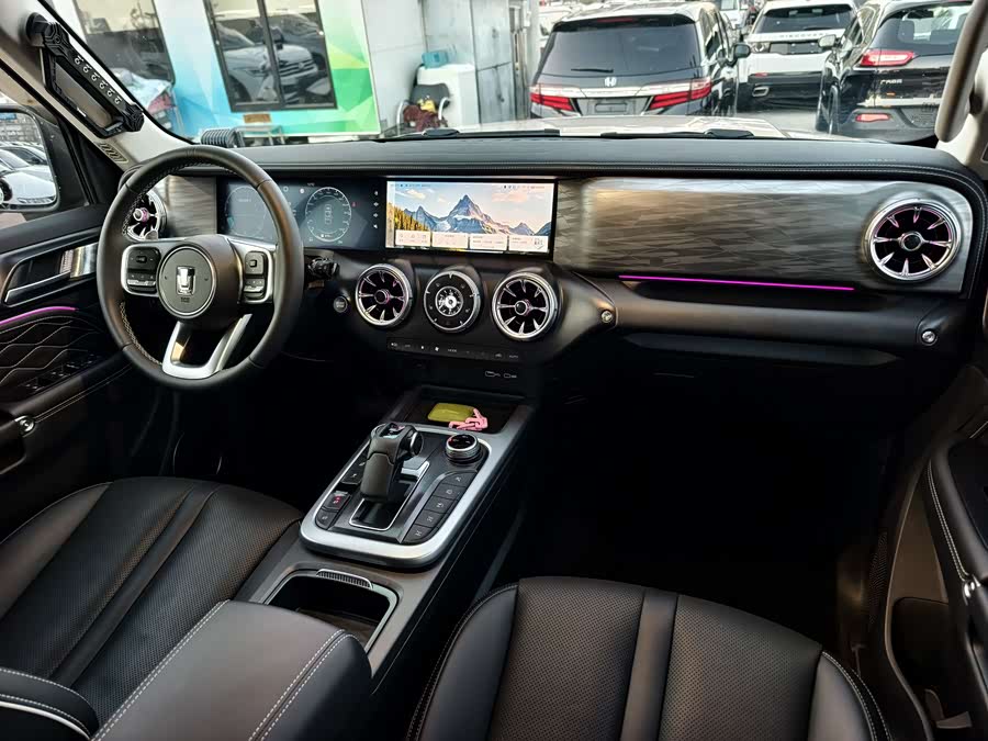 Tank 300 2022 car image #7