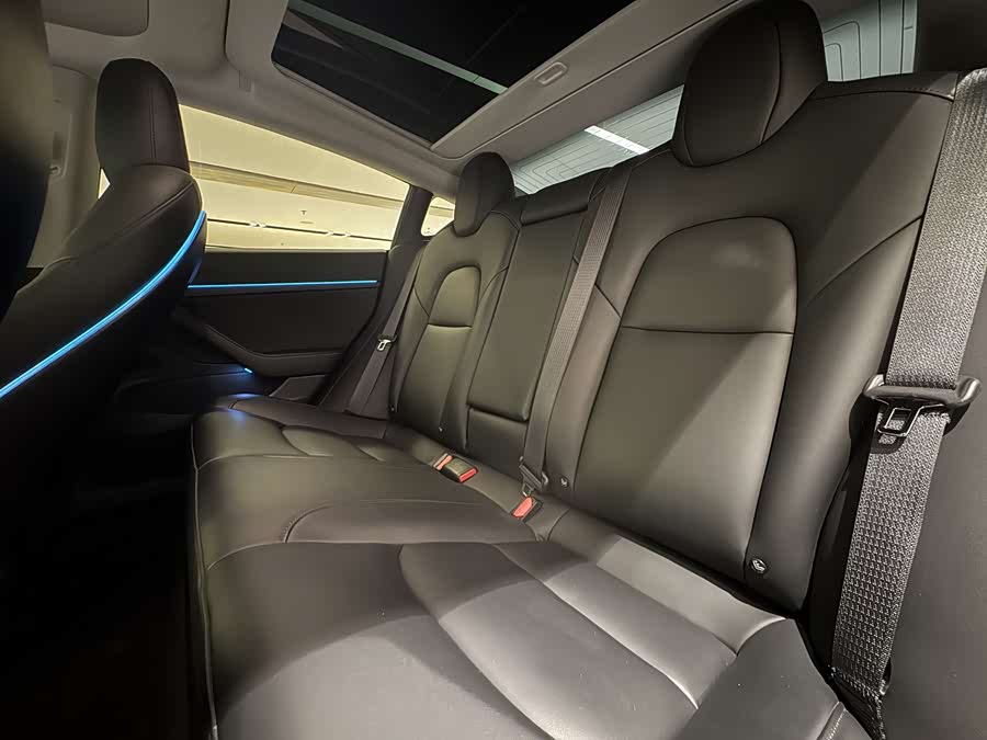 Tesla Model 3 2020 #7 Tesla Model 3 2020 car image #7