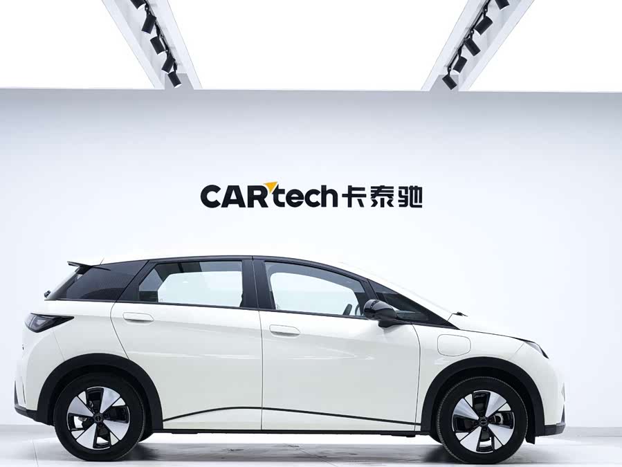 BYD Dolphin 2022 #7 BYD Dolphin 2022 immagine di auto #7