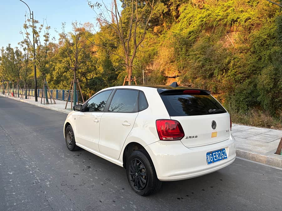Volkswagen Polo 2014 car image #7