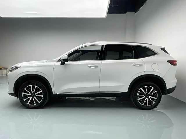 Haval H6 2021 car image #7
