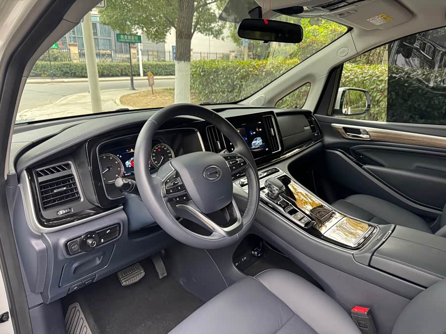 GAC Trumpchi M8 2024 car image #7