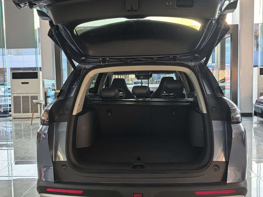 BYD Sea Lion 07 DM-i 2025 car image #7