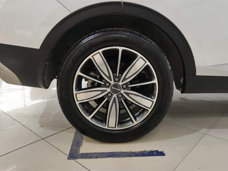 Haval H6 2021 car image #7