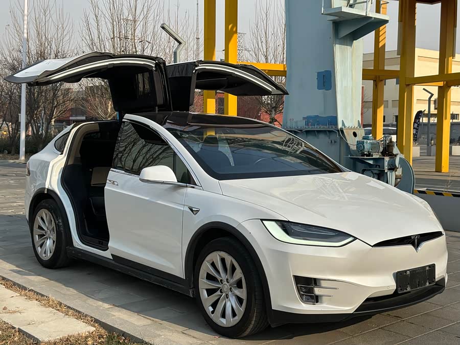 Tesla Model X 2020 #7 Tesla Model X 2020 car image #7