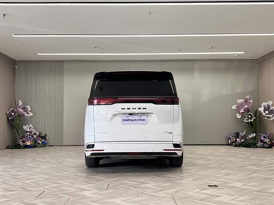 Denza D9 2025 car image #7