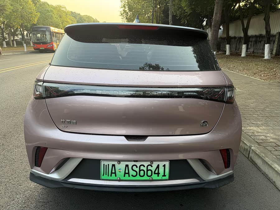 BYD Dolphin 2022 car image #7