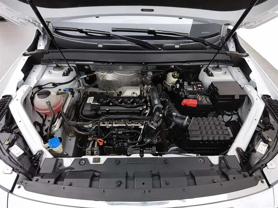 Exceed Chasing Wind 2022 car image #7