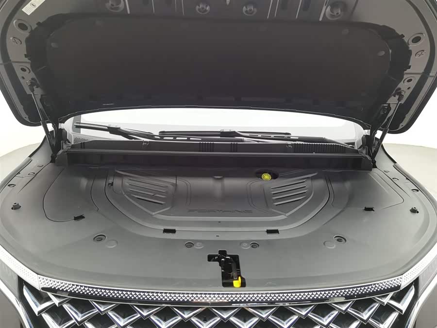 Forthing V9 2025 car image #7