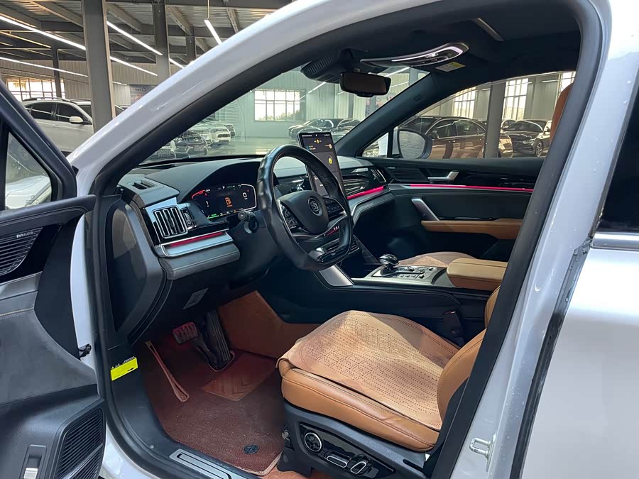 BYD Tang New Energy 2023 car image #7