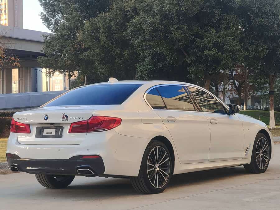 BMW 5 Series 2020 car image #7