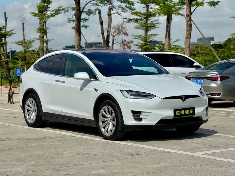 特斯拉 Model X 2020 汽车图片 #7