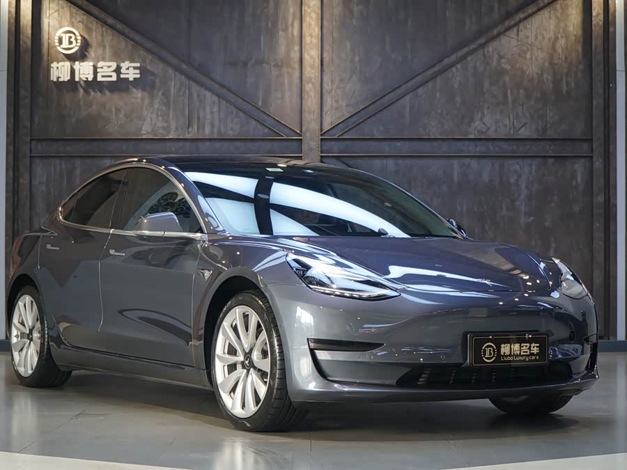 Tesla Model 3 2020 car image #7