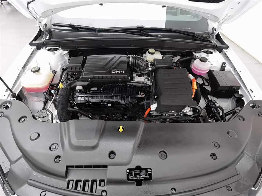BYD Qin Plus 2024 car image #7