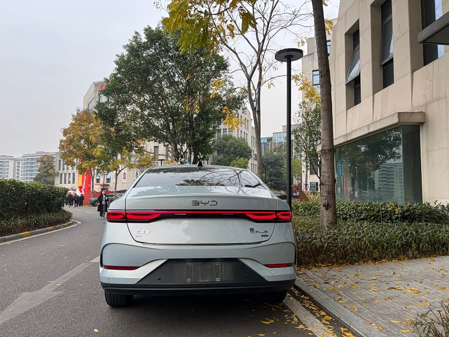 BYD Qin Plus 2025 صورة سيارة #7