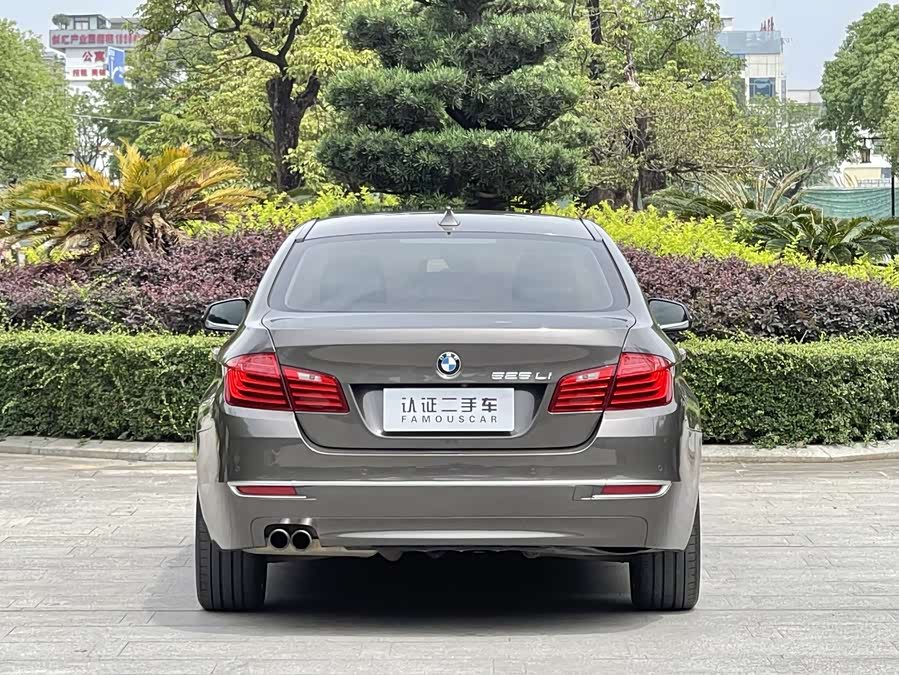 BMW 5 Series 2014 car image #7