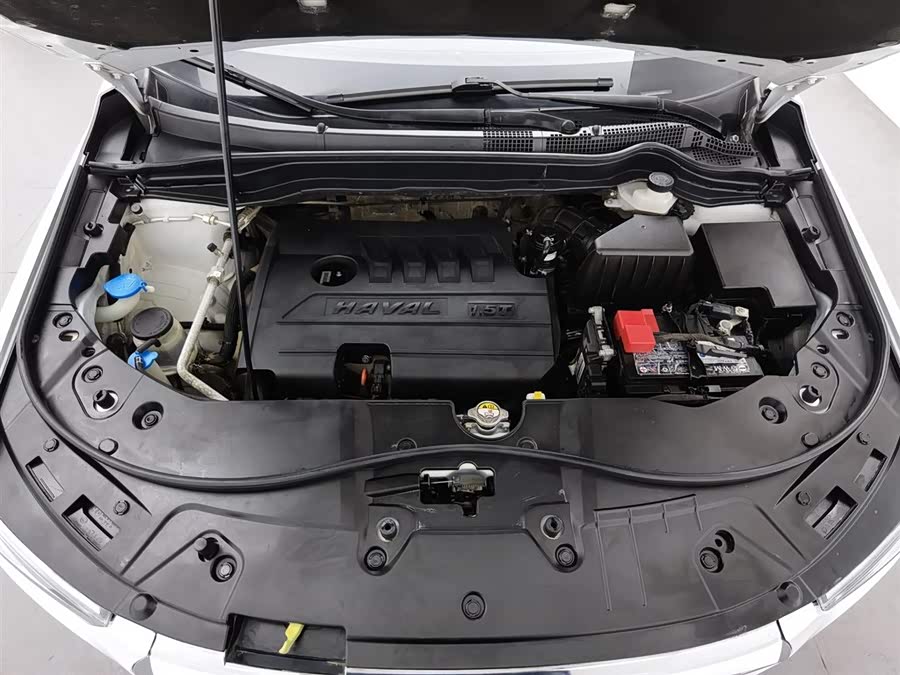 Haval H6 2019 car image #7