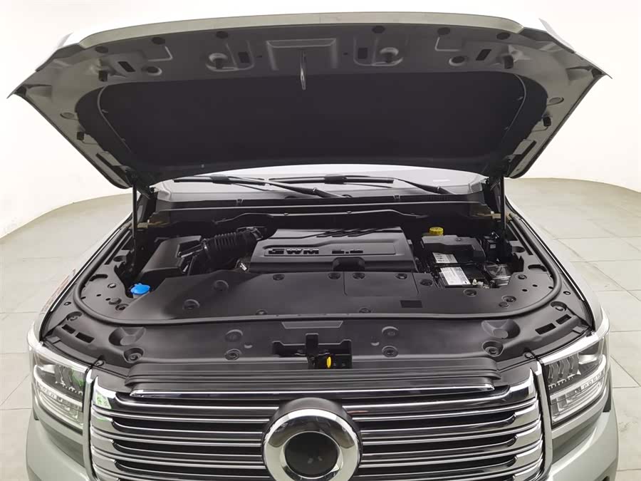 Great Wall Shanhai Pao 2023 car image #7